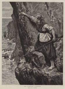 Il raccoglitore di salicornia da William Bazett Murray